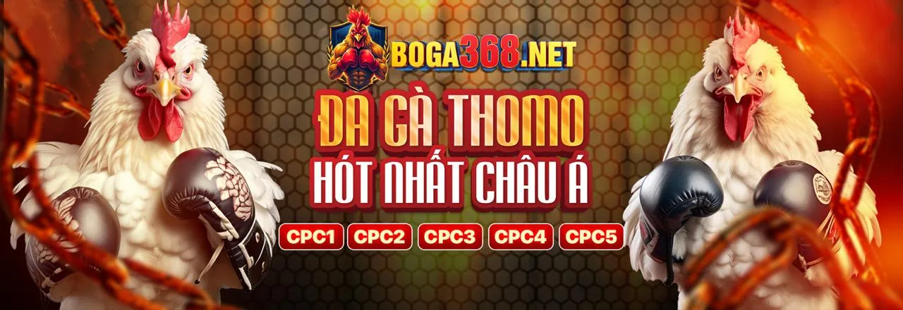 Đá Gà Trực Tuyến Hàng Đầu keonhacai3